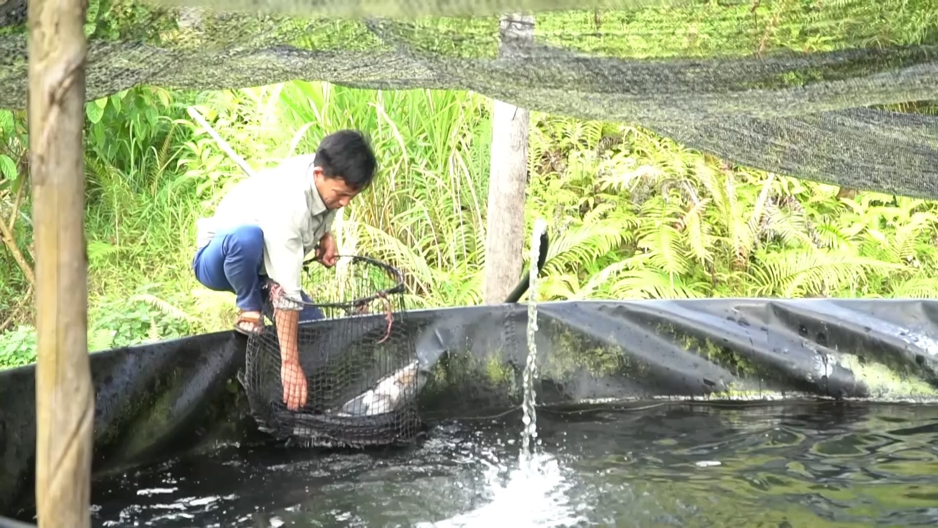 ps-tet-thanh-nien-nguoi-dao-giup-ban-lang-bung-sang.mp4.00_03_27_16.still004.jpg