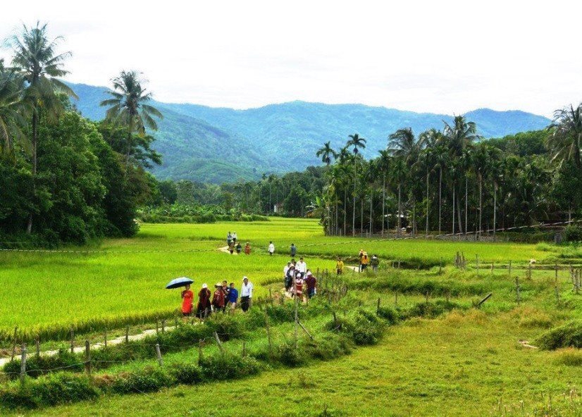 canh-sac-huu-tinh-o-mien-que-loc-yen.jpg