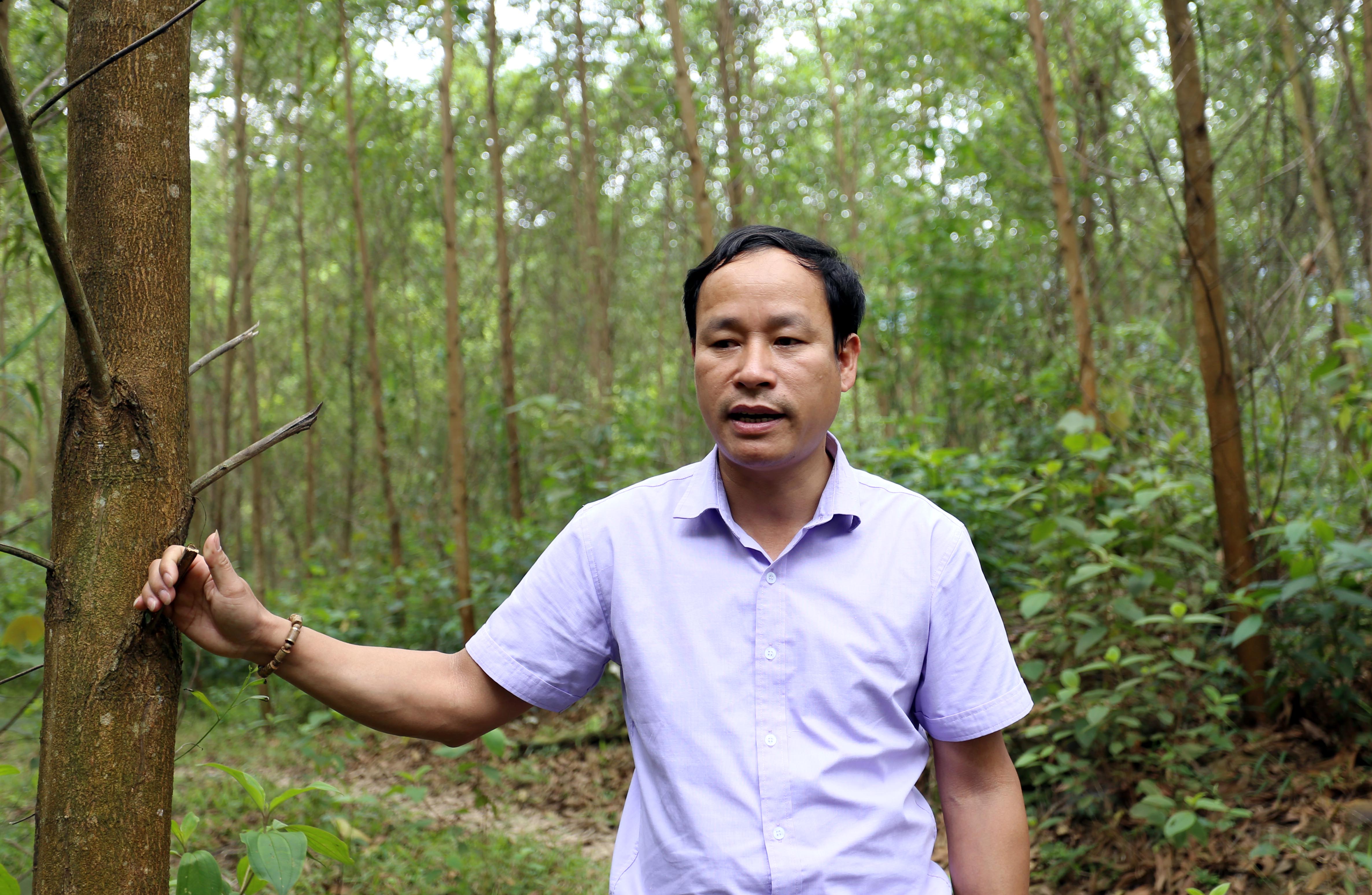 anh-2.jpg