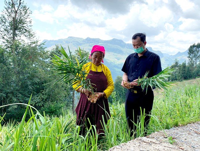 ba-con-nguoi-mong-xa-ma-le-dong-van-ha-giang-chuyen-doi-dien-tich-dat-trong-ngo-sang-trong-gung-mang-lai-gia-tri-kinh-te-cao.-anh-my-ly-.jpg