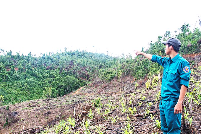 mot-phan-dien-tich-dat-tu-cong-ty-tnhh-mot-thanh-vien-lam-san-khanh-hoa-da-duoc-boc-tach-de-giao-cho-nguoi-dan-xa-lien-sang-huyen-khanh-vinh-san-xuat.-anh-hai-lang-.jpg