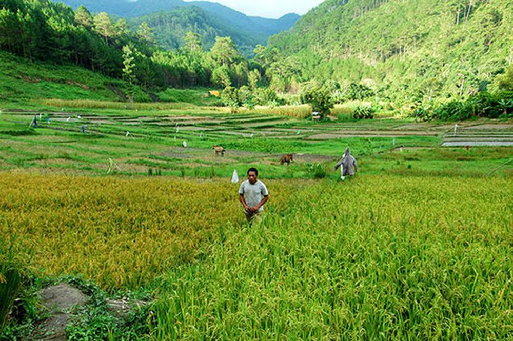 ngoi-lang-trong-rung-tham.jpg