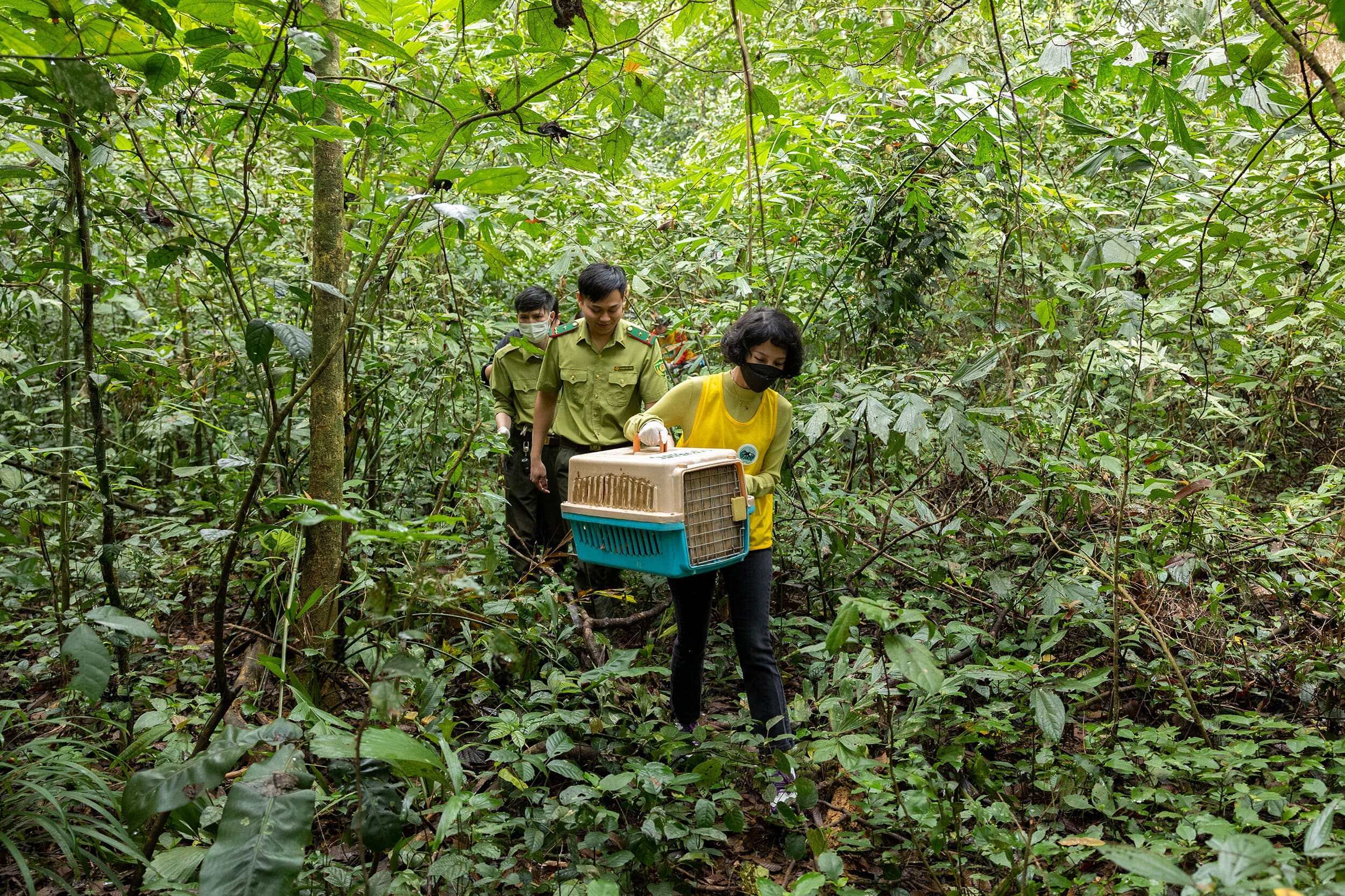 102menard-1.4-foto-kiengcan-team.jpg