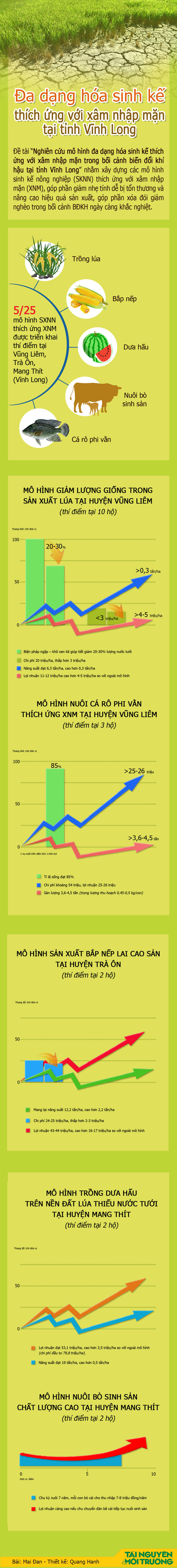 xamnhapmanvl2-1-.jpg