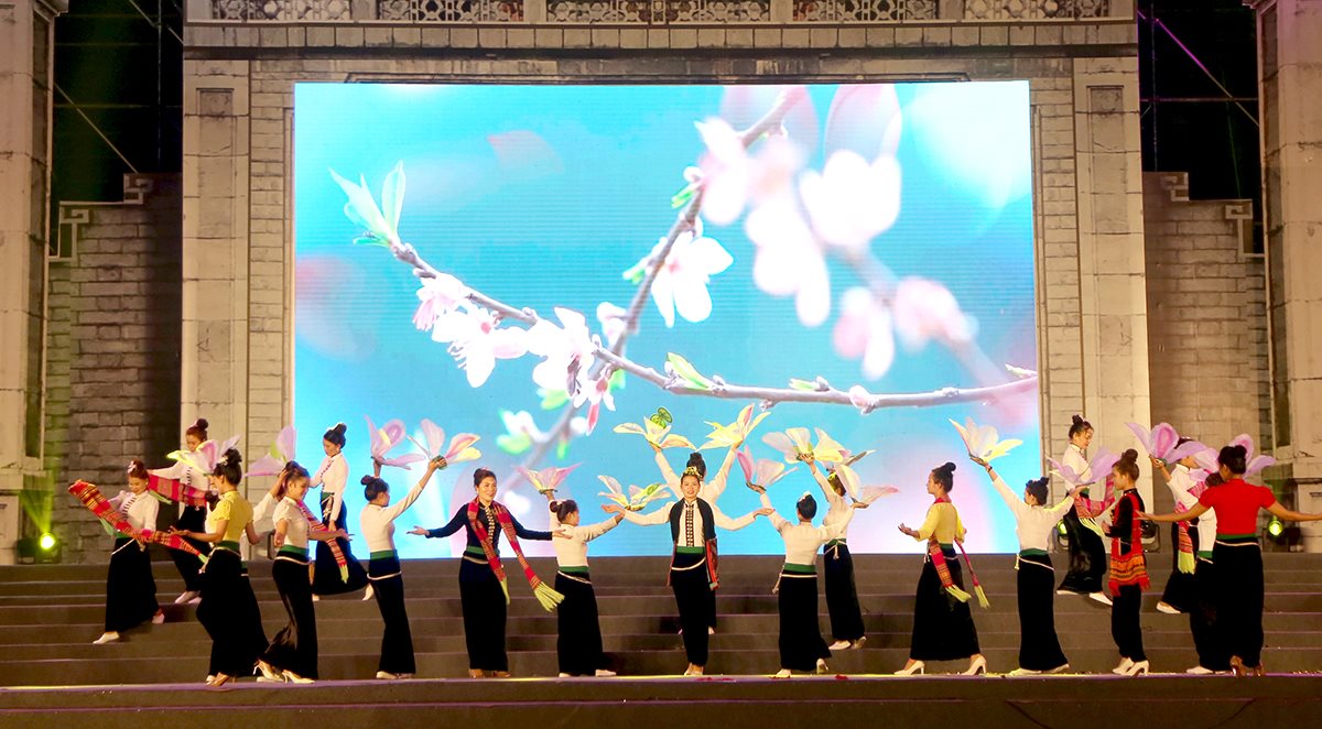 111d1074247t8520l5-img-1033.jpg