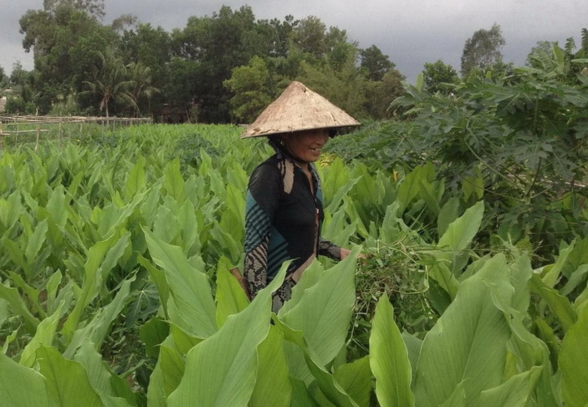 a3.-lung-ngoc-hoang.jpg