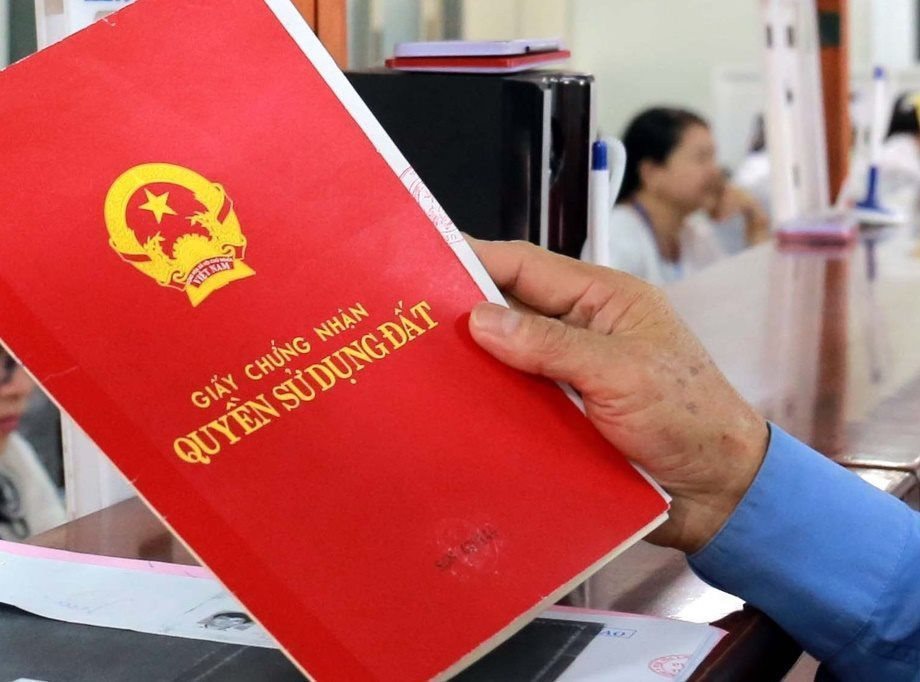 qngai2.jpg