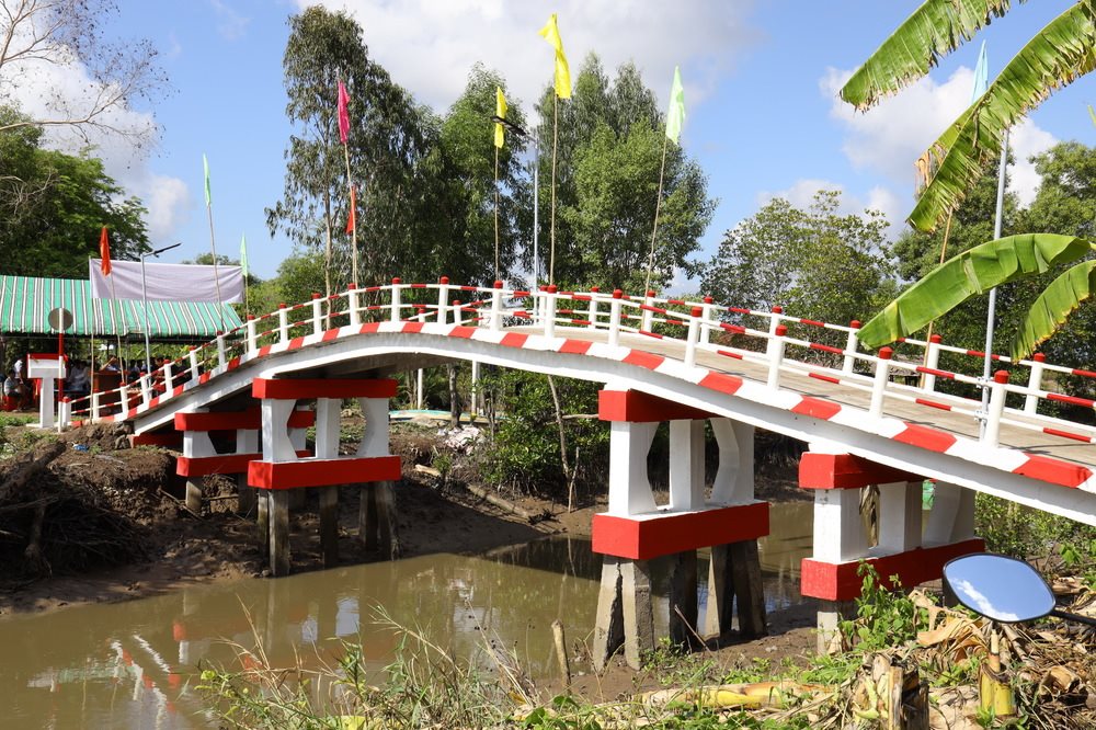 7.-cay-cau-moi.jpg