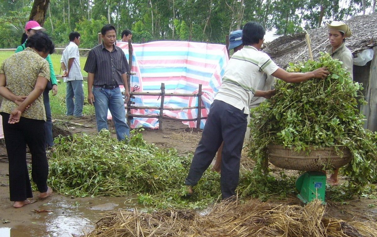 a2.-soc-trang.jpg