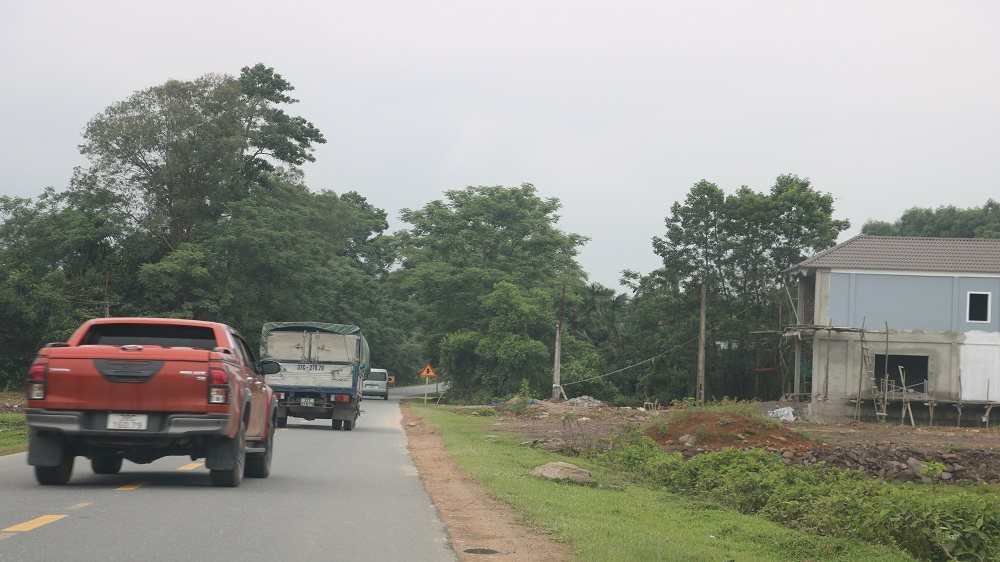 anh-1.-dong-loc.jpg
