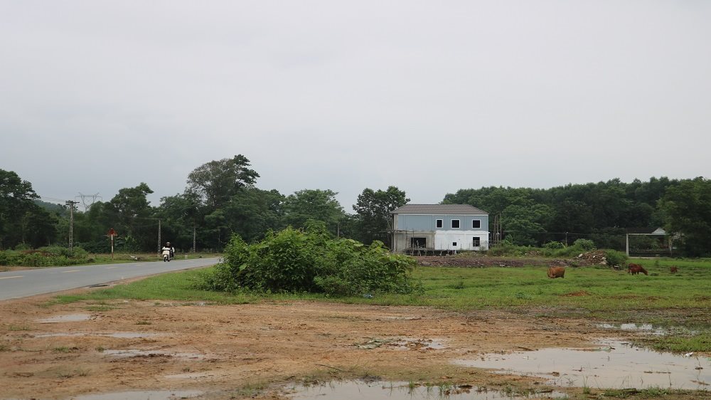 anh-2.-dong-loc.jpg