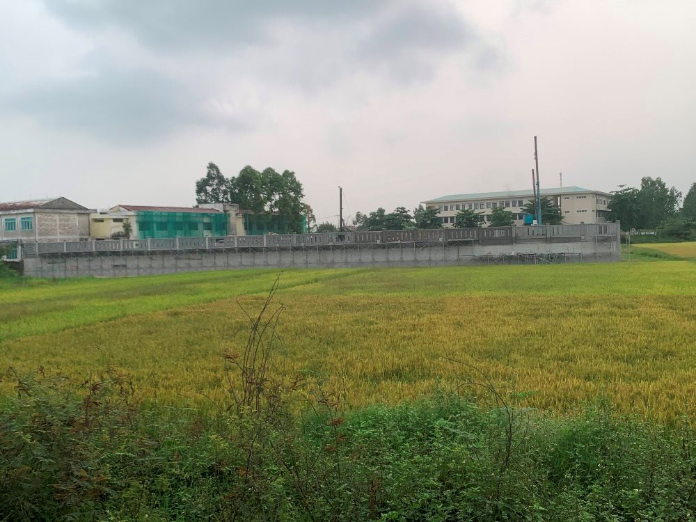 hoaphuoc4.jpg
