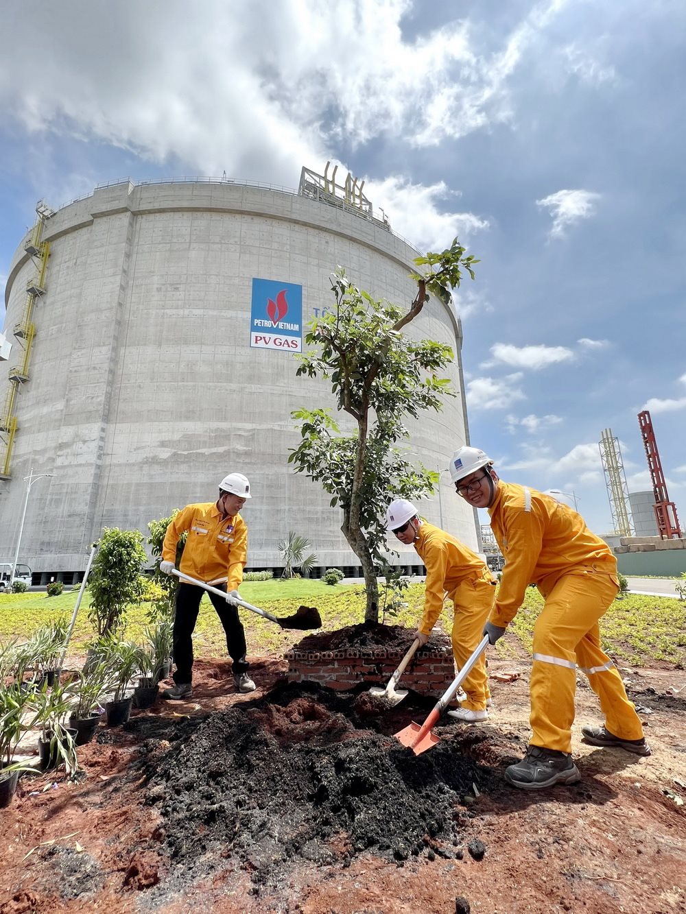 1.-trong-cay-xanh-da-kho-lng.jpg