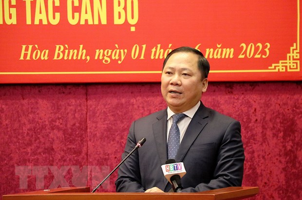 Công bố nghị quyết, quyết định của UBTVQH, Ban Bí thư về công tác cán bộ - Ảnh 2.