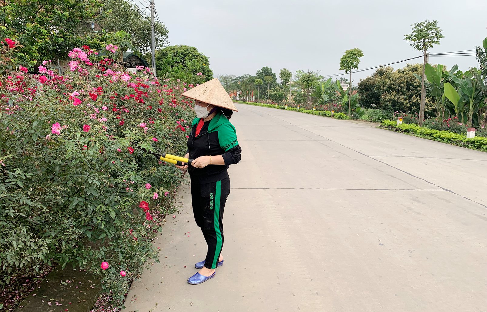 anh-dt-03.jpg