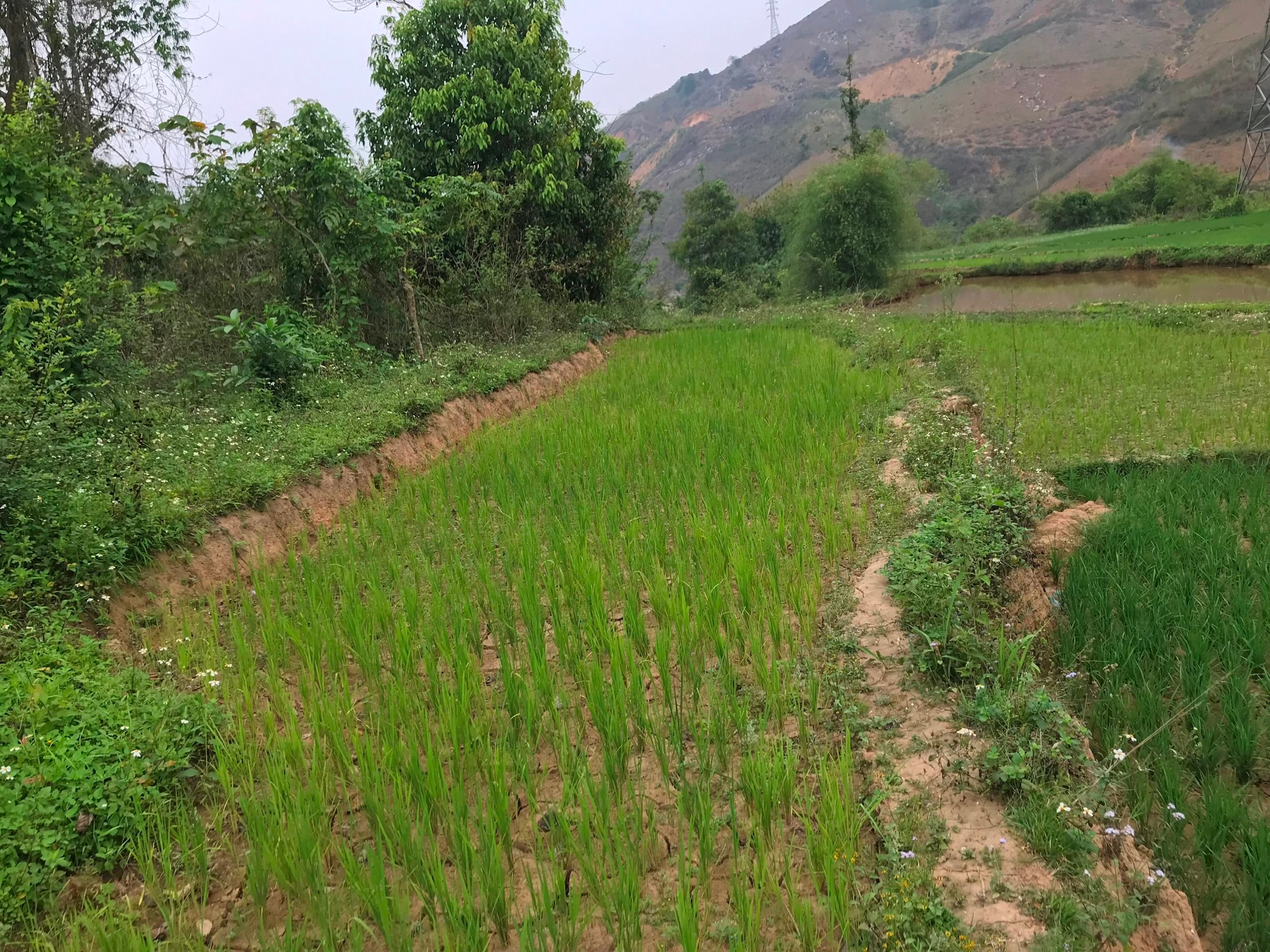 z4408090890619_079bf82ca62ea0f425d5bc50987d7ff1.jpg