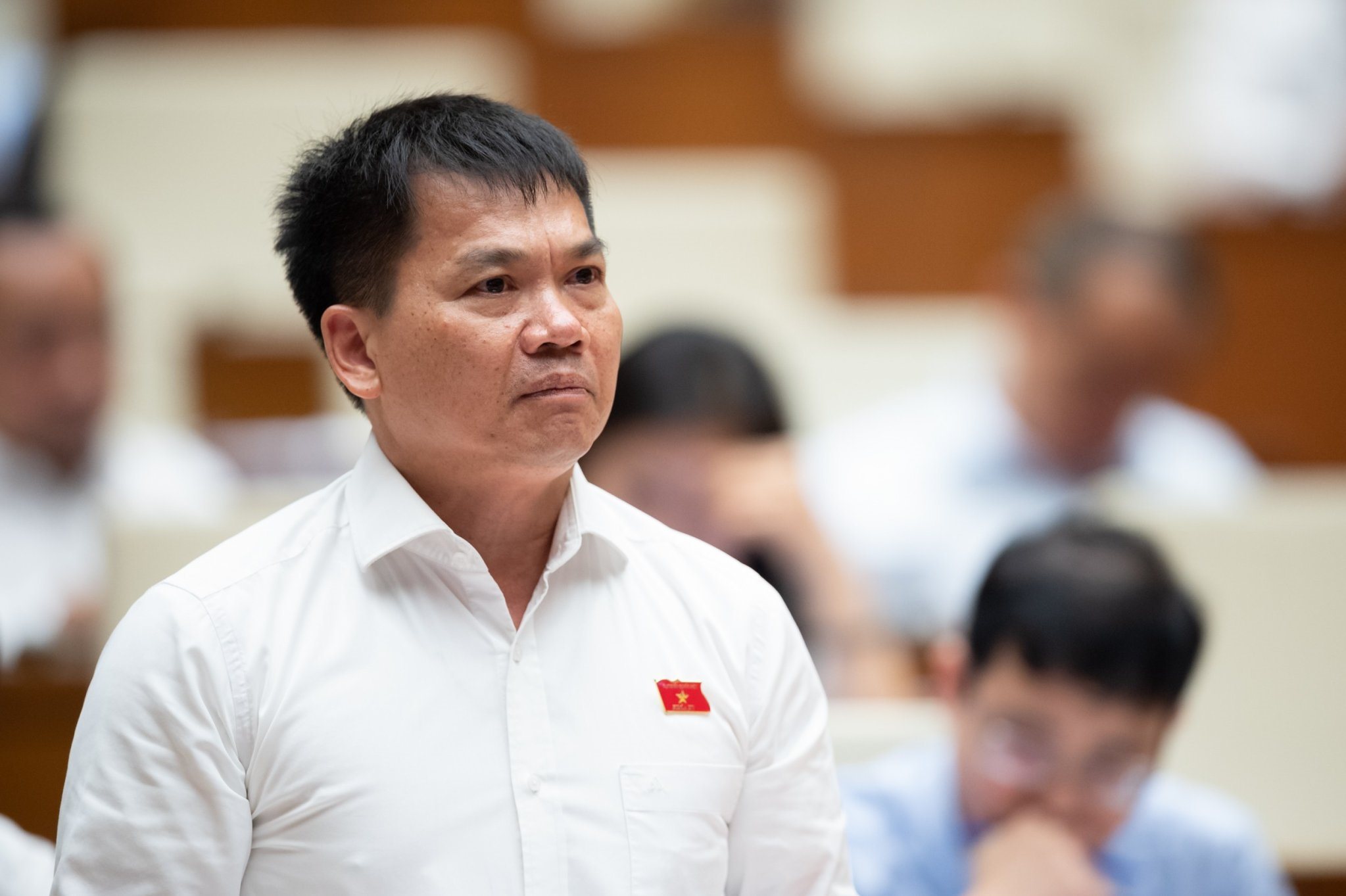 dai-bieu-duong-khac-mai.jpg