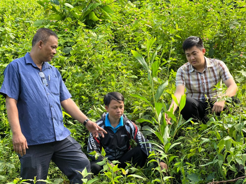 huyen-nam-giang-tinh-quang-nam-khuyen-khich-nguoi-dan-phat-trien-kinh-te-tu-rung.png