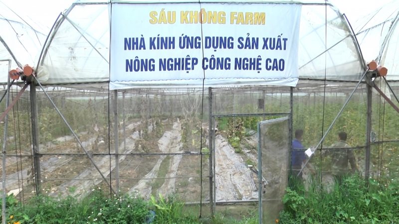 thanh-nien-yen-bai-co-nhieu-mo-hinh-khoi-nghiep-dat-hieu-qua-cao.jpg