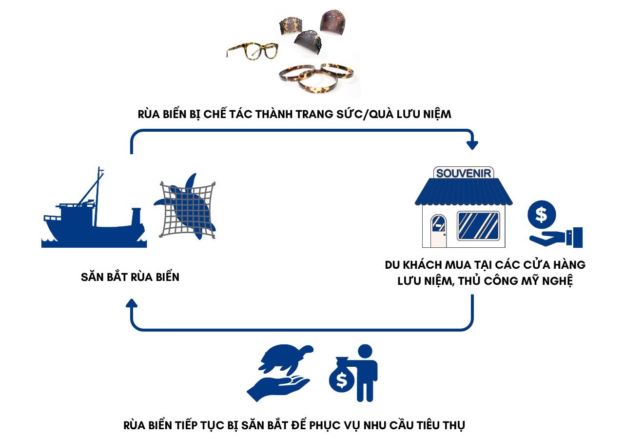 rua-bien-thuoc-ve-dai-duong-2-.png