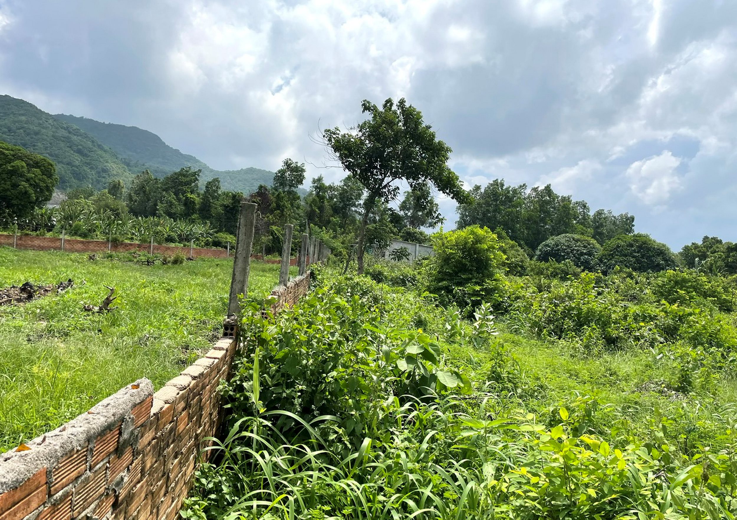 a1.-thu-tuc-tach-thua.jpg