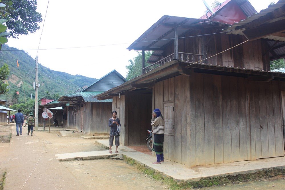 taygiang2.jpg