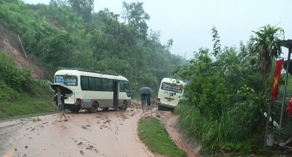 a2.mn.jpg