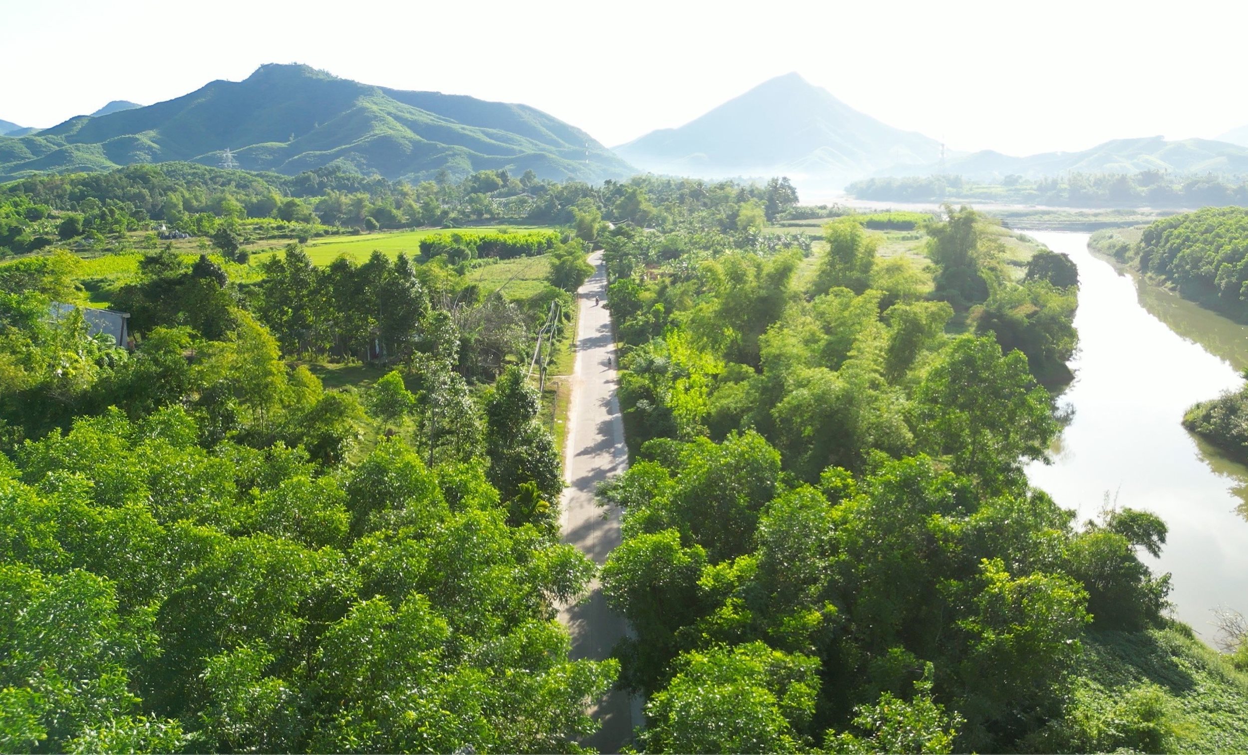 anh-2-cung-duong-chay-dep-nhu-mo-cua-giai-chay-kham-pha-nong-son-2023.jpg