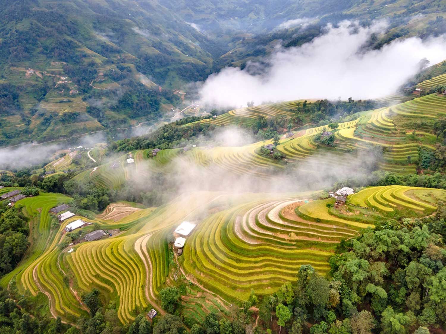 ruong-bac-thang-2.jpg
