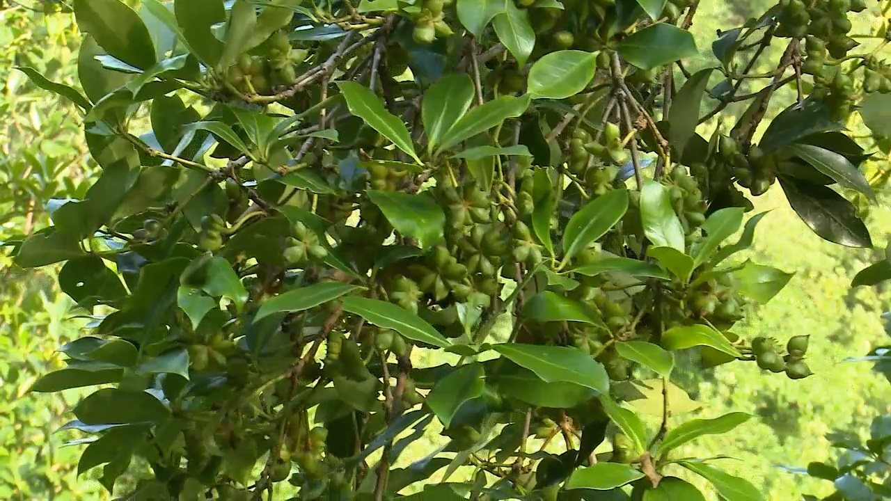 sep-thang-03.jpg