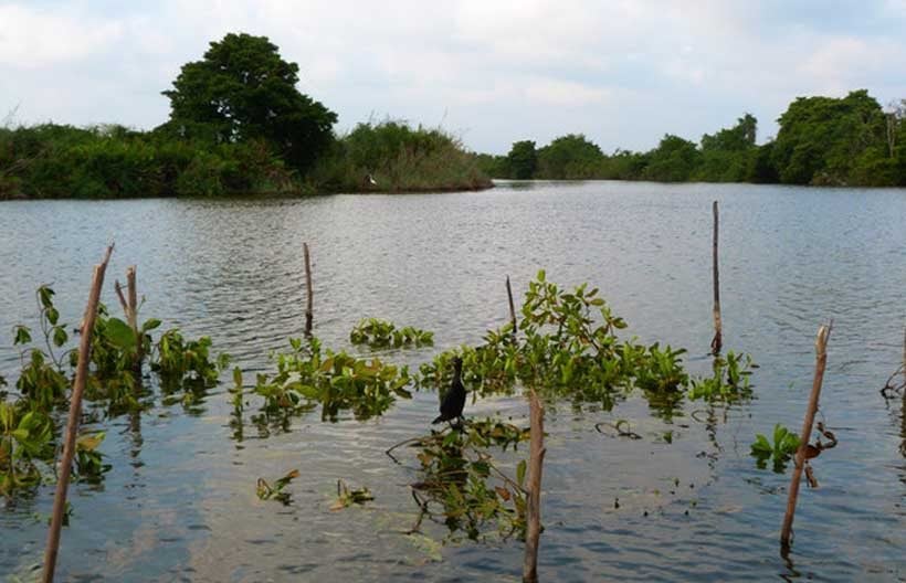 sri-lanka-climate-change.jpg