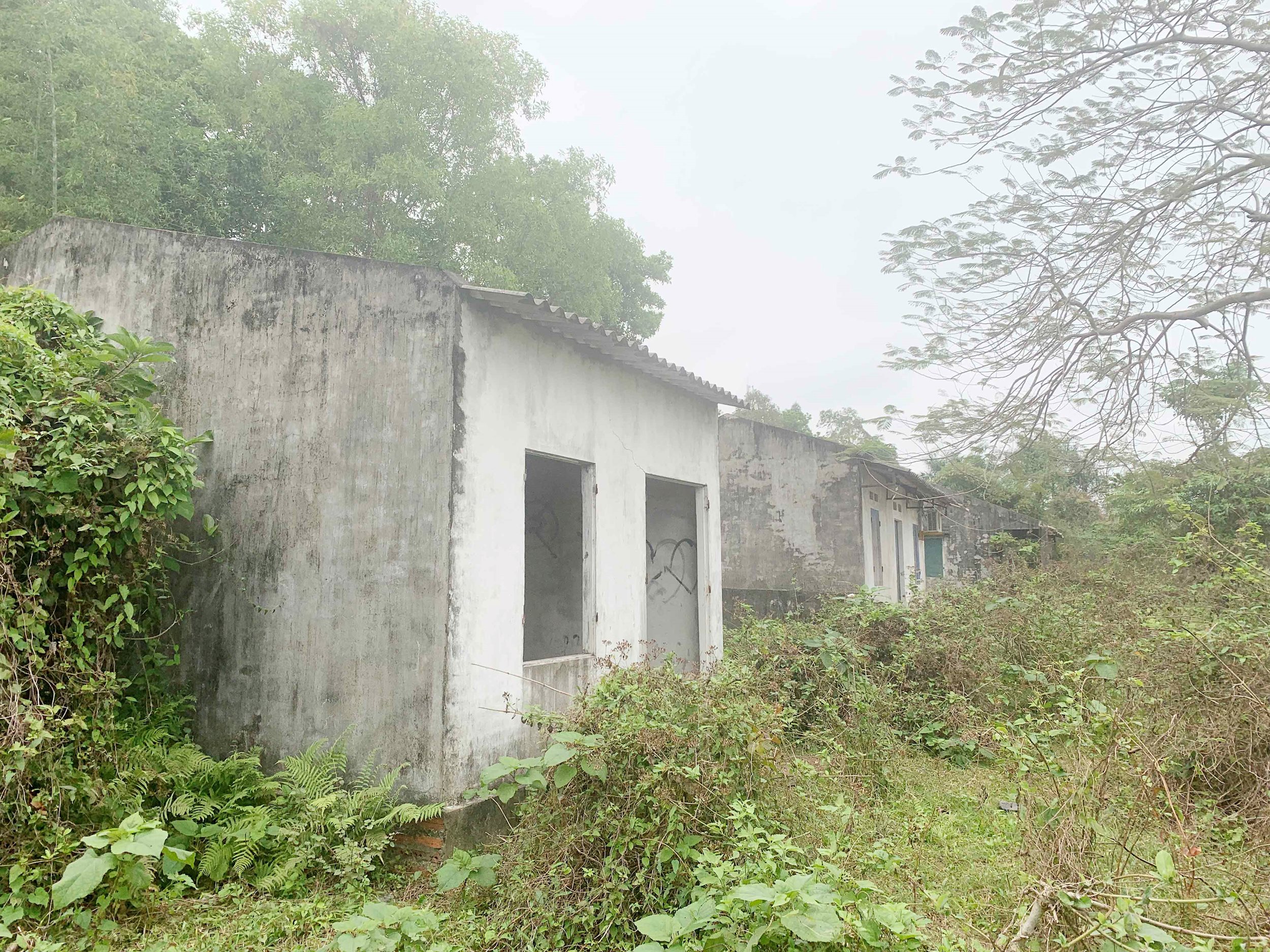 anh-qn-05.jpg