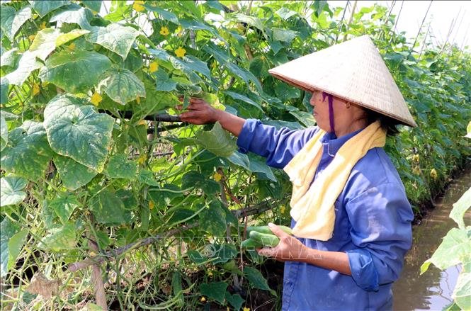 vna_potal_nam_dinh_huong_di_ben_vung_cho_san_xuat_nong_nghiep__104635784_stand.jpeg