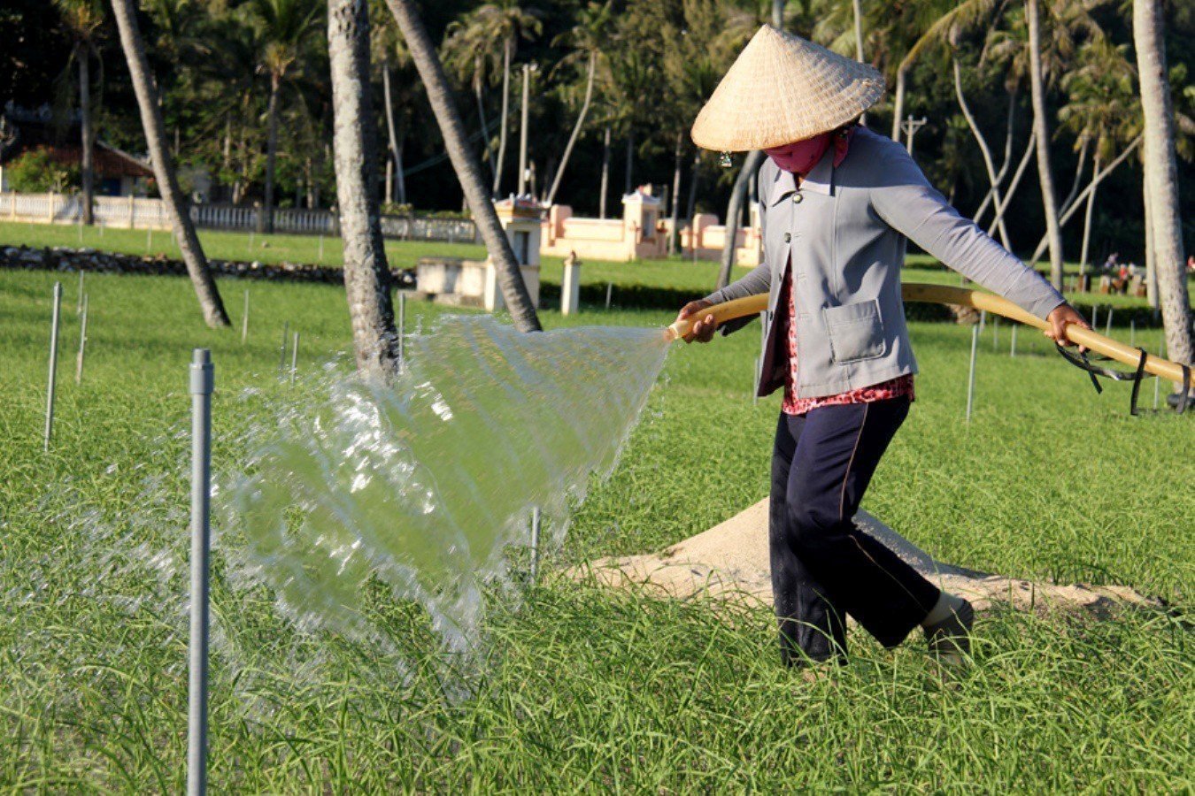 nuoc1.jpg