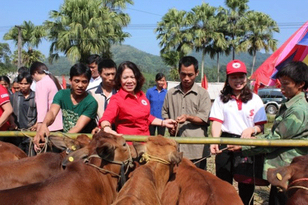 anh-nh-bo-1.gif