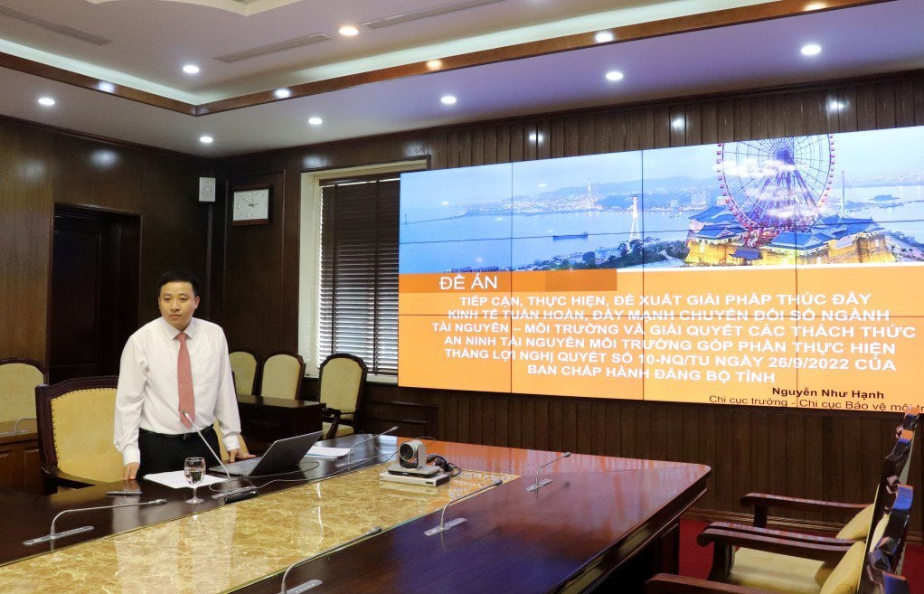anh-qn-01.jpg