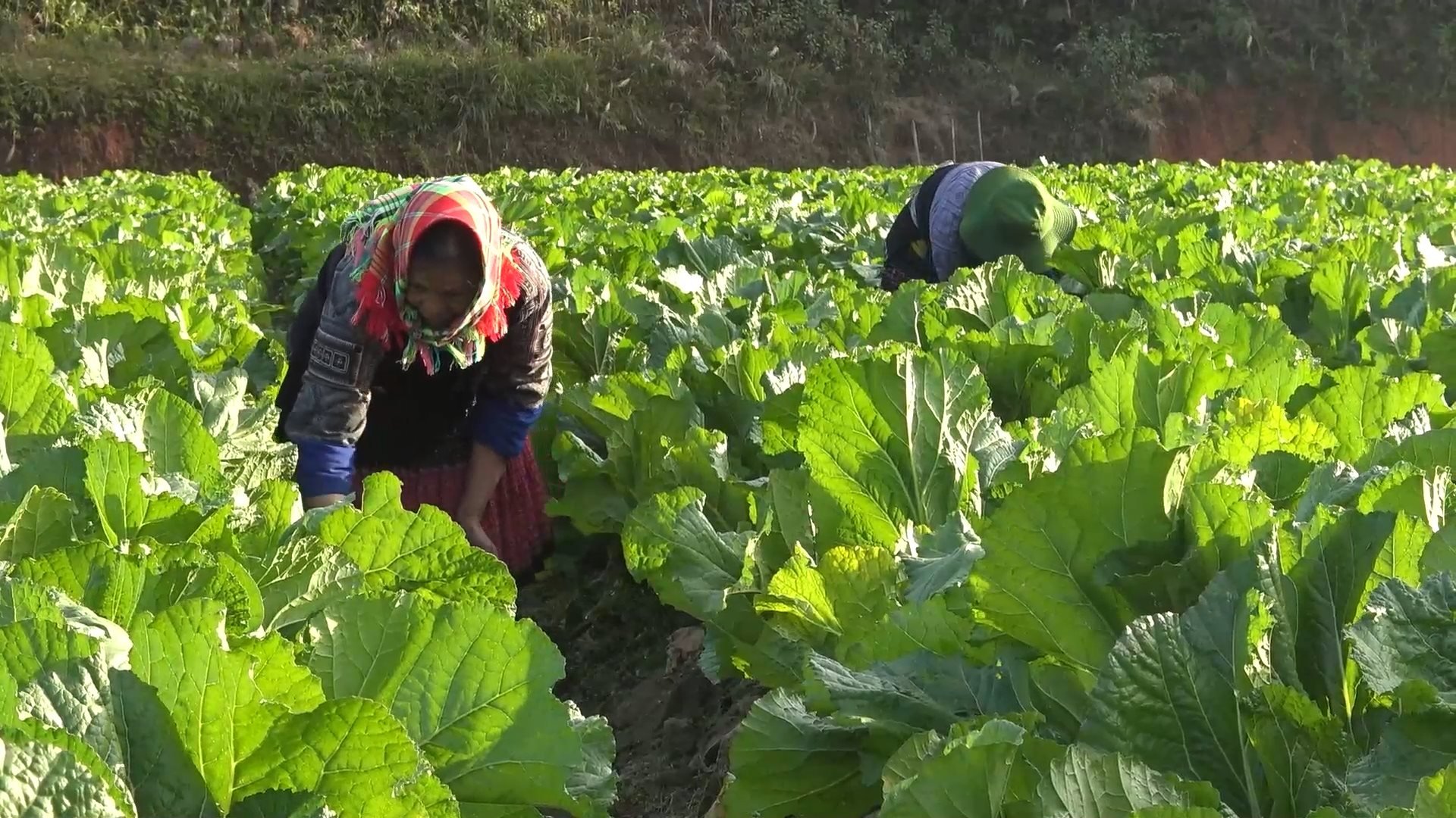 psnamkhat.mp4.00_01_33_14.still009(1).jpg