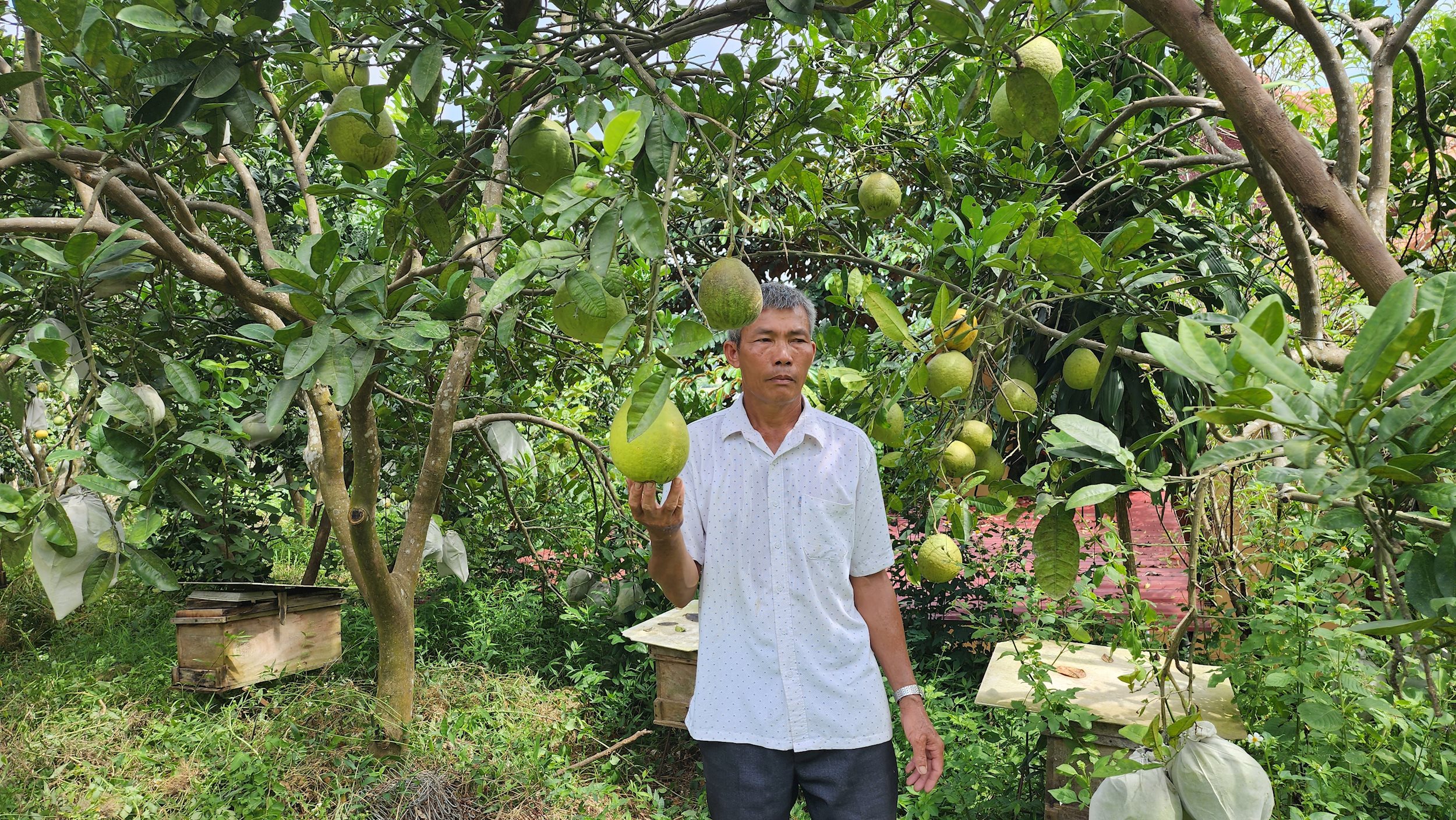 anh-2-ong-le-van-binh.jpg