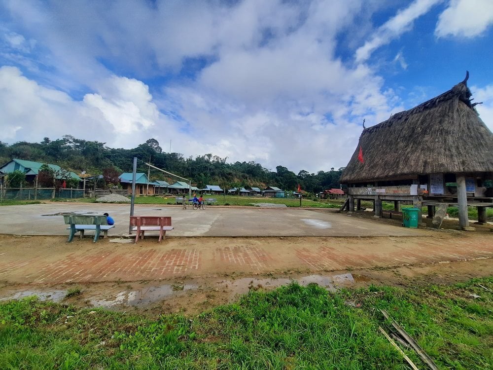 taygiang1.jpg