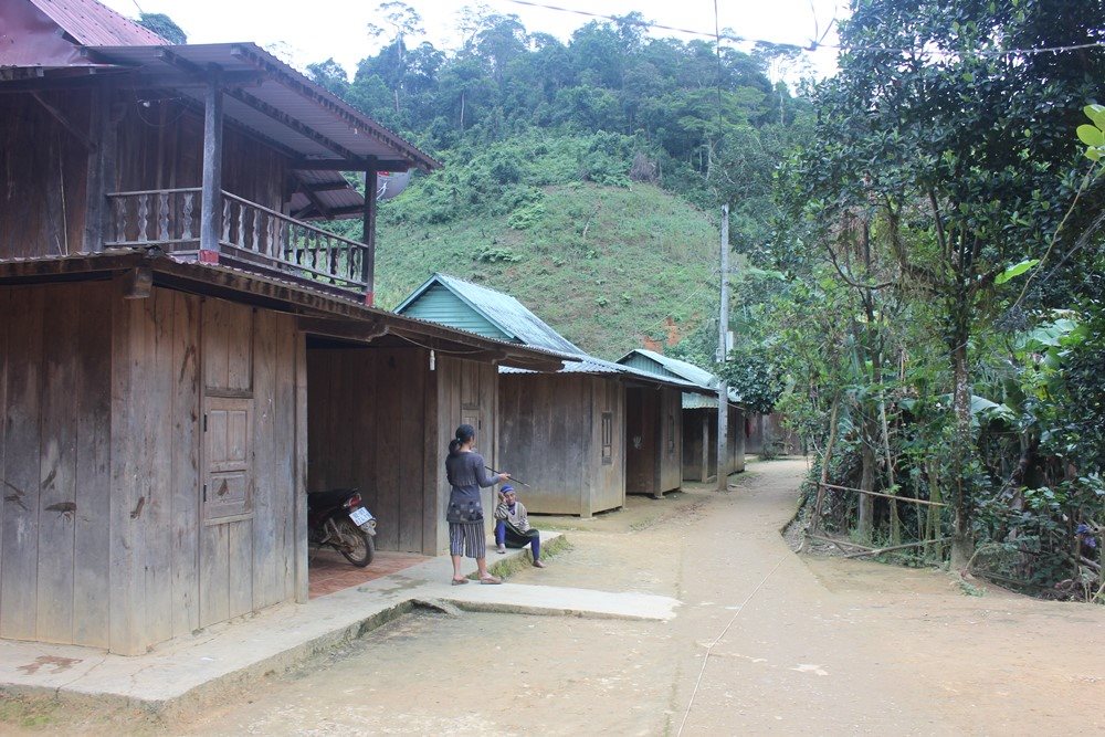taygiang2.jpg