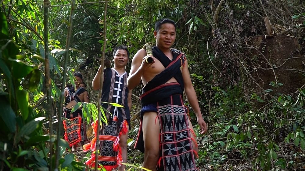 taygiang3.jpg