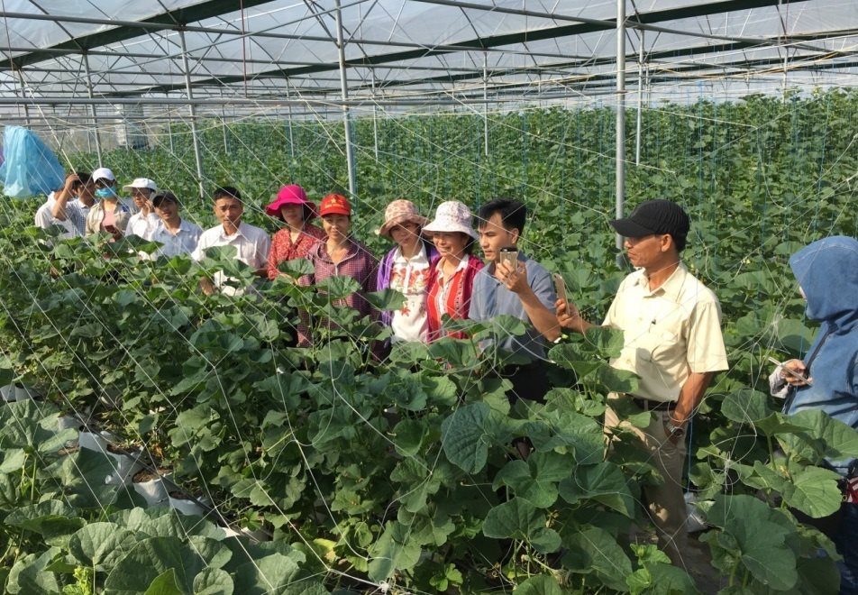 htx-tan-minh-duc-xa-pham-tran-huyen-tran-yen-tinh-hai-duong-la-htx-tieu-bieu-trong-ung-dung-cong-nghe-cao-vao-san-xuat-la-dau-moi-bao-tieu-nong-san-cho-nong-dan.-moi-nam-htx-thu-lai-gan-2-ty-dong..jpg