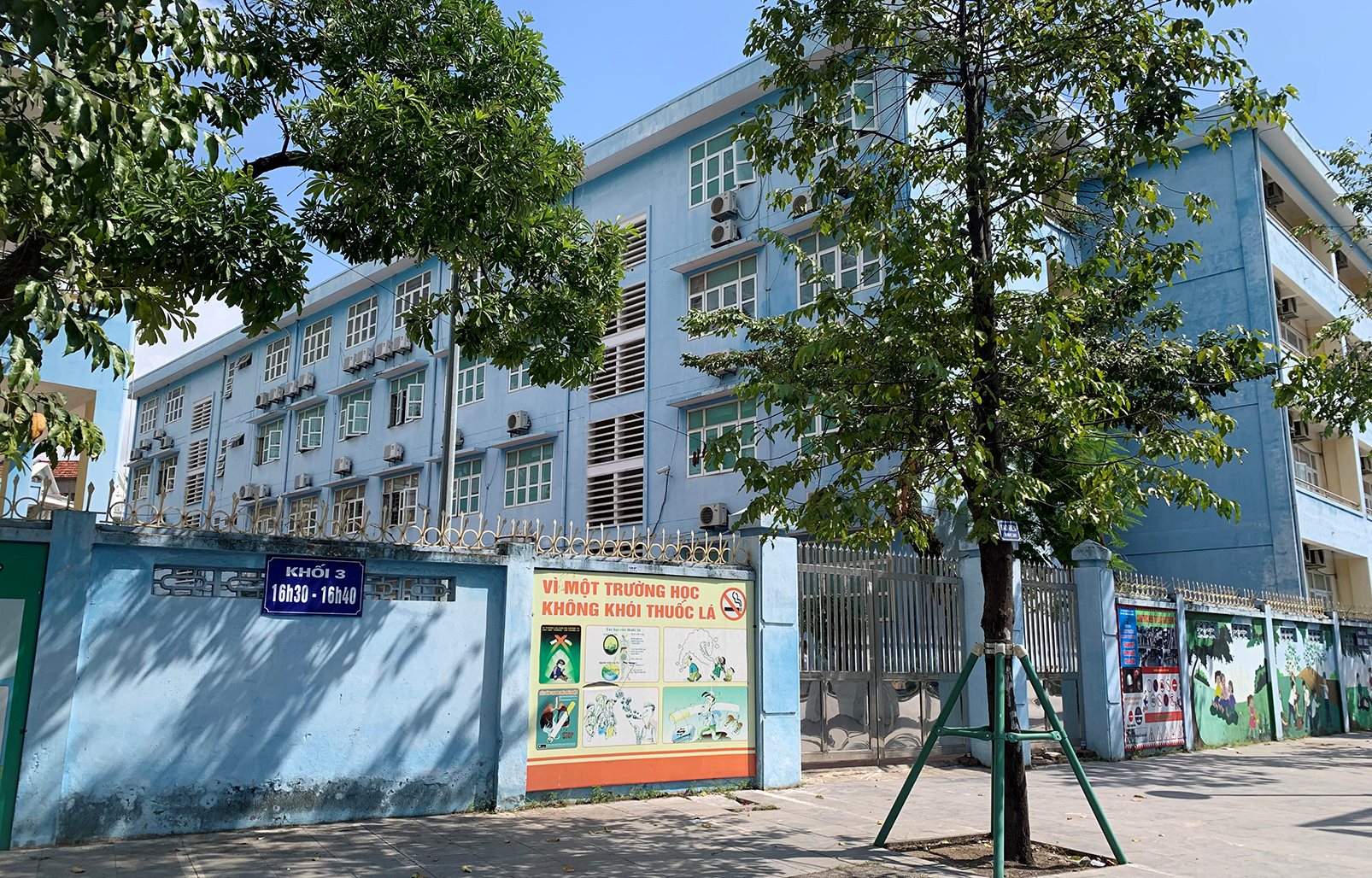 anh-tl-03.jpg