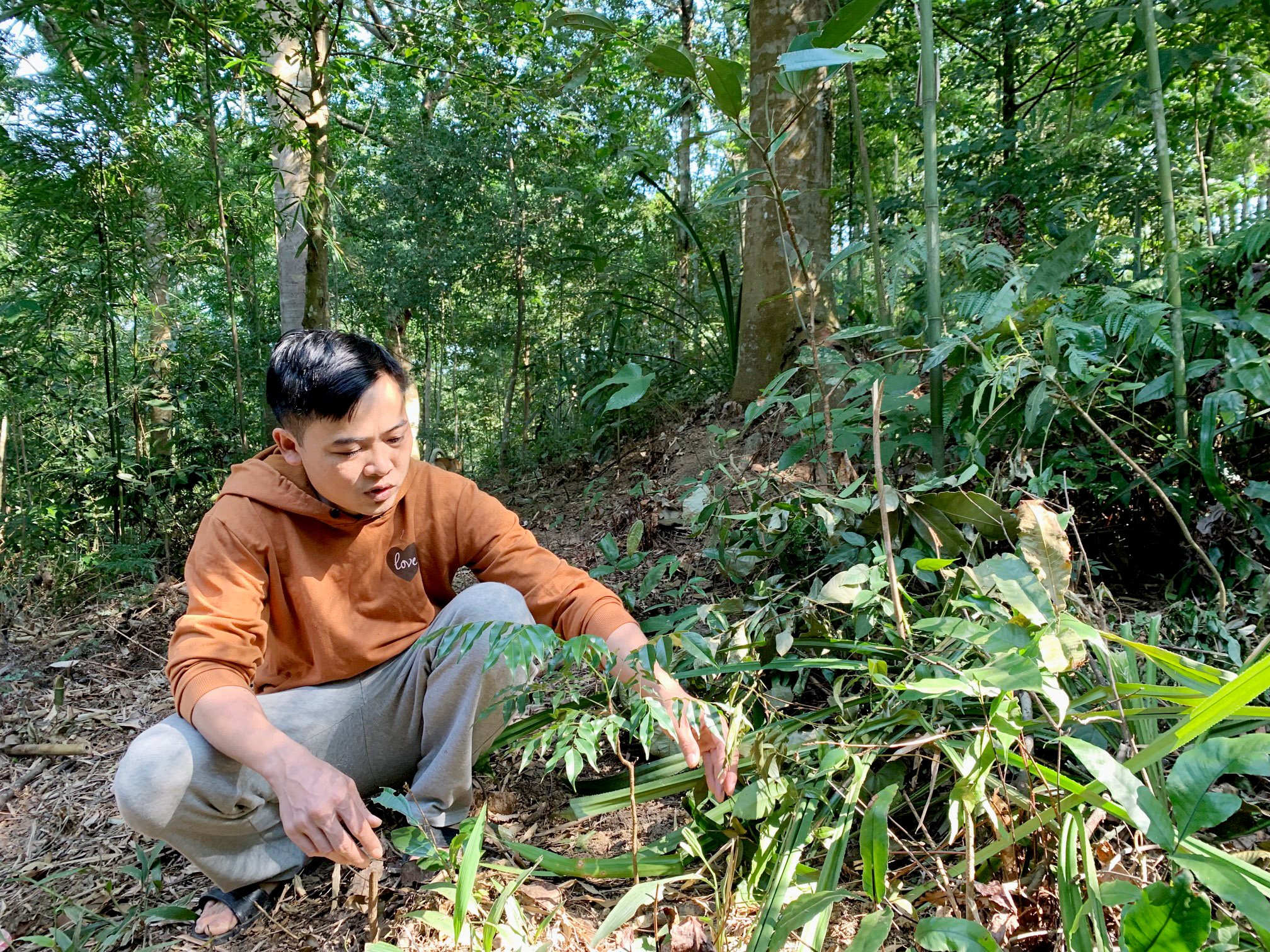 anh-hb-02.jpg