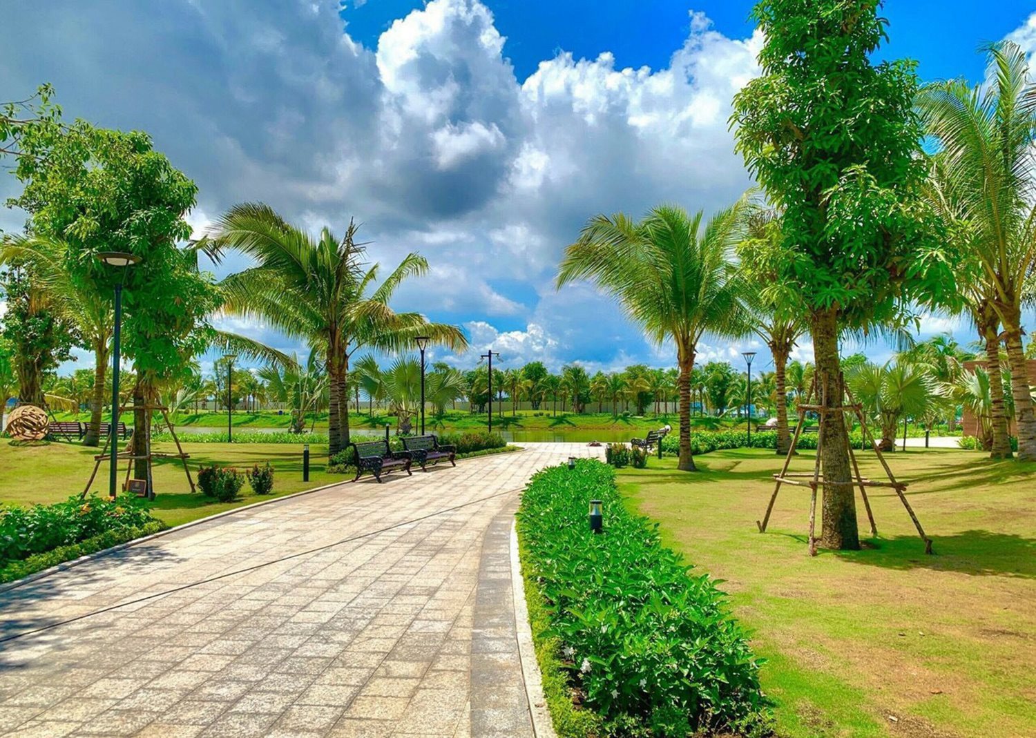 cong-vien-cay-xanh.jpg