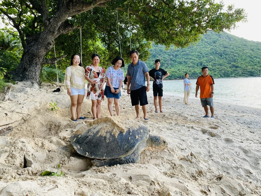 Du khách thích thú với công việc bảo tồn Rùa biển tại Côn Đảo. Ảnh: MT. khu-bao-ton-bien-con-dao-4507.jpg