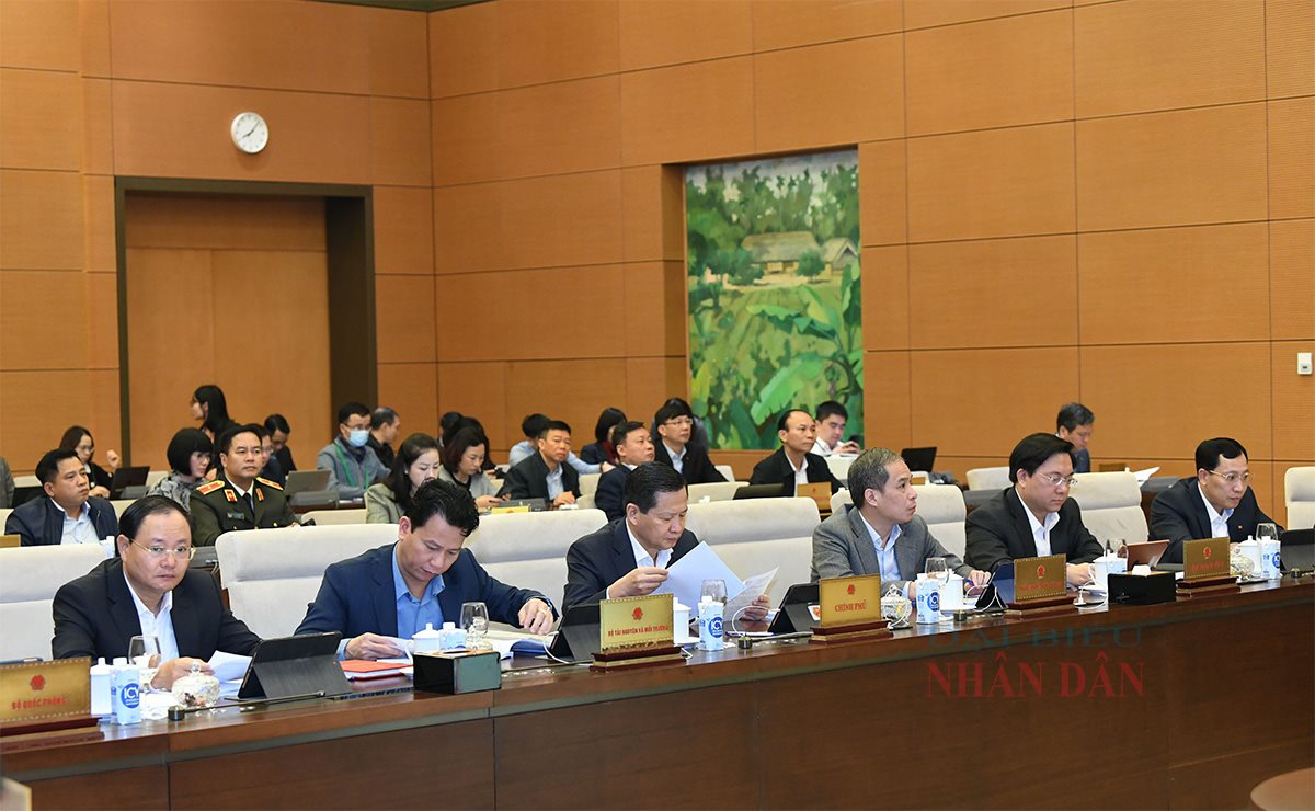 dai-nbieu-a2-1705461685805.jpg