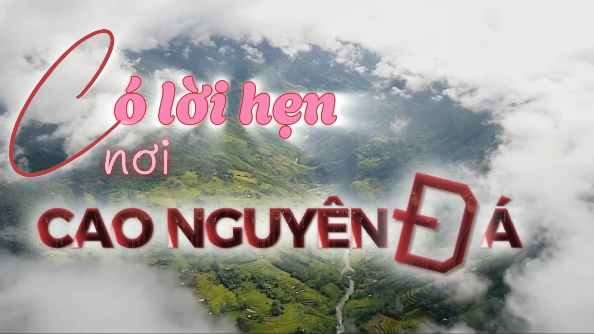 bia-cao-nguyen-da.png