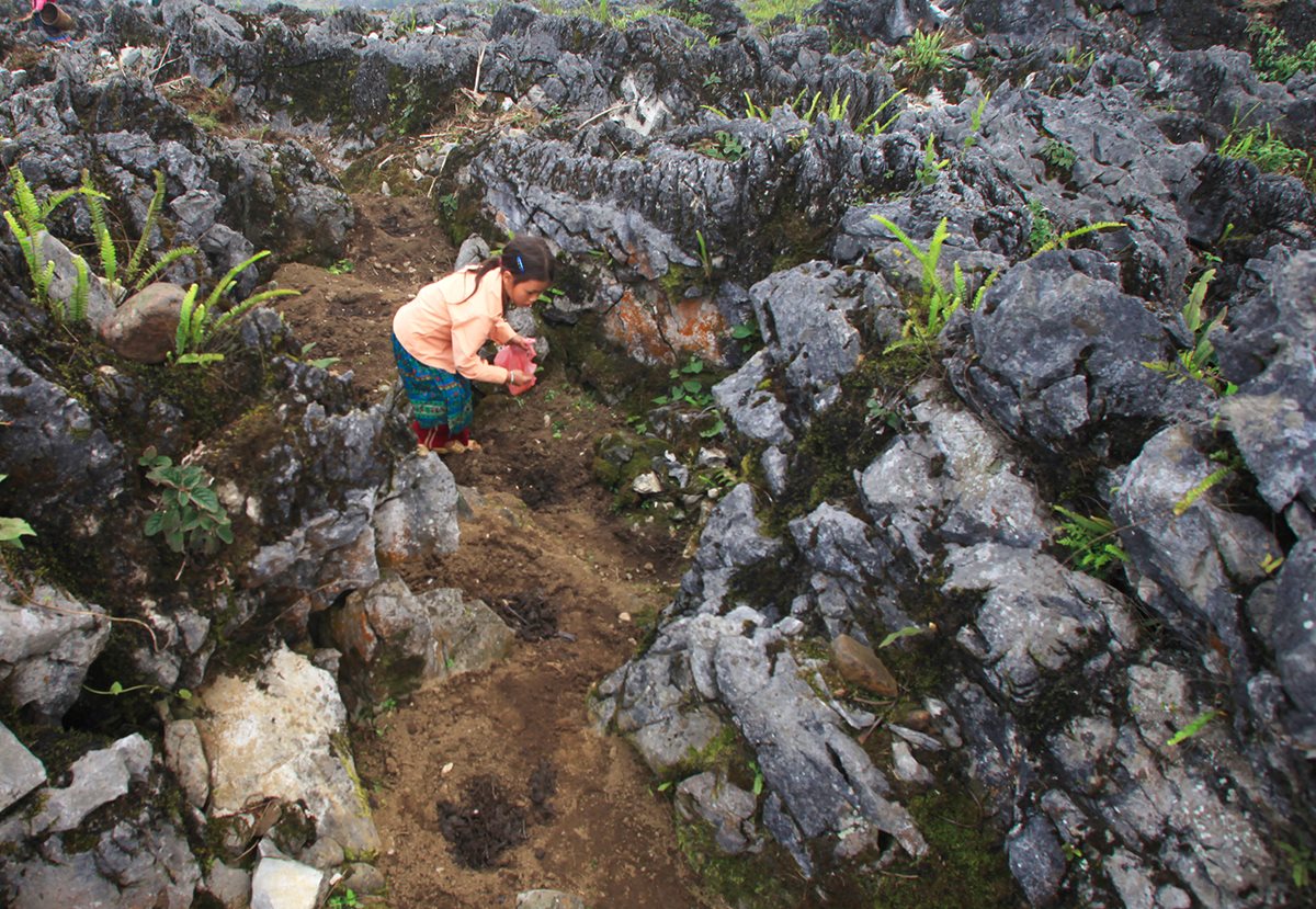 ki-thuat-tho-canh-hoc-da-o-ha-giang-1.jpg
