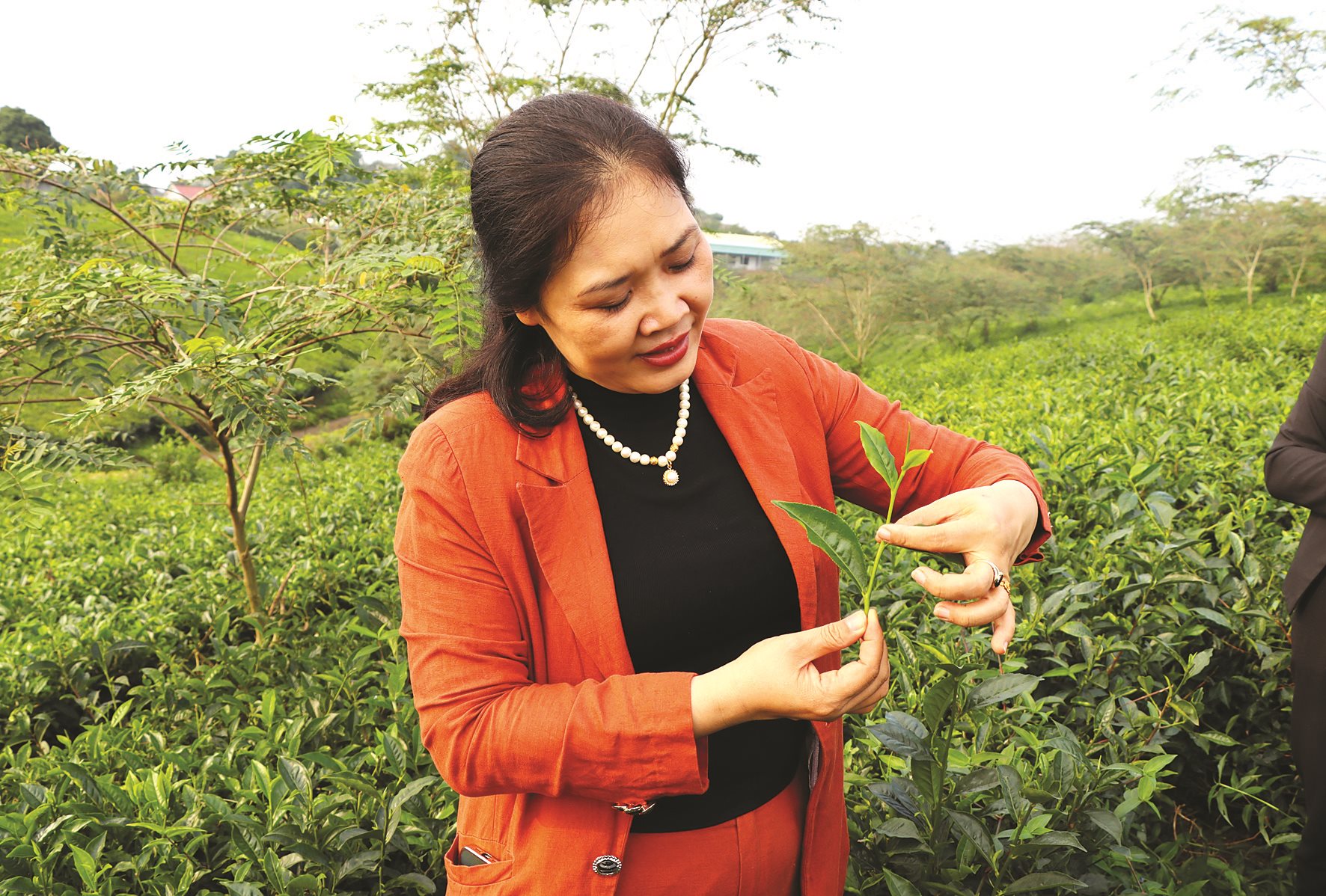 anh-1.jpg